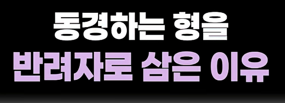 스크린샷 2025-12-09 160446.png